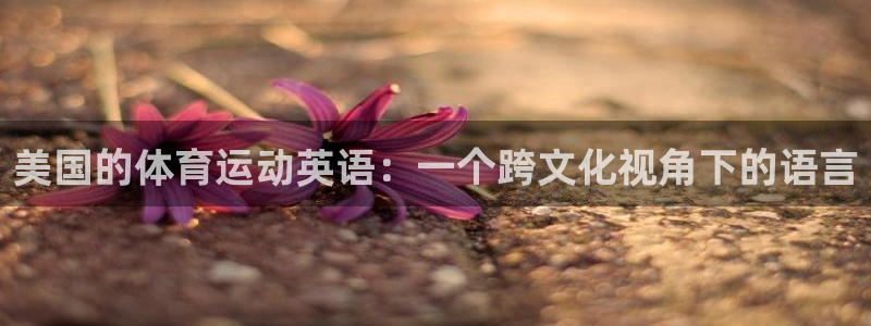 3377体育是正规的吗：美国的体育运动英语：一个跨文化视角下的语言