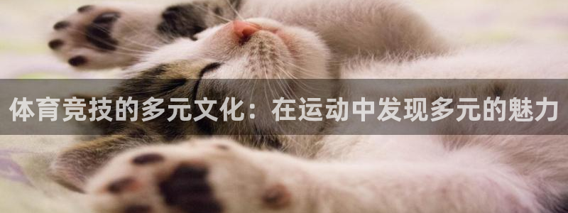 3377体育官网下载：体育竞技的多元文化：在运动中发现多元的魅力