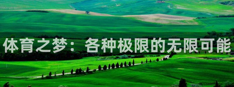 3377体育官方app下载：体育之梦：各种极限的无限可能