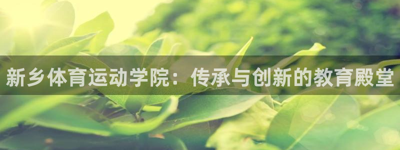 3377体育网页登录入口：新乡体育运动学院：传承与创新的教育殿堂