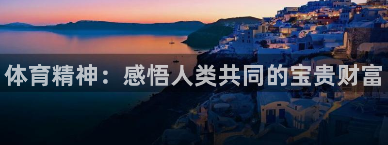 3377体育官网入口网页版：体育精神：感悟人类共同的宝贵财富