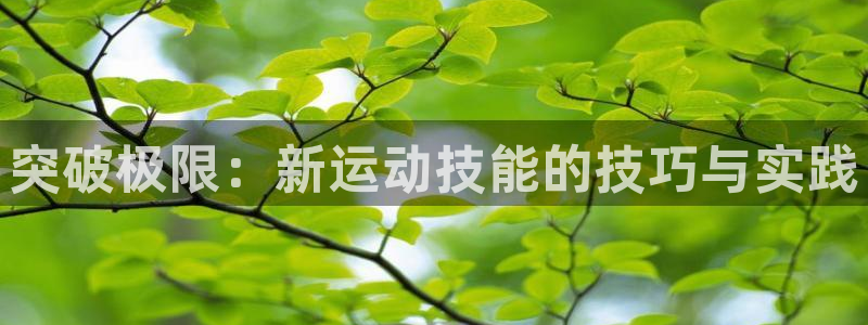 3377体育：突破极限：新运动技能的技巧与实践