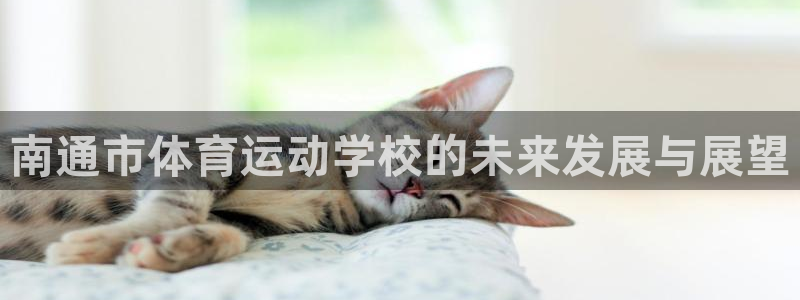 3377体育官方app下载：南通市体育运动学校的未来发展与展望
