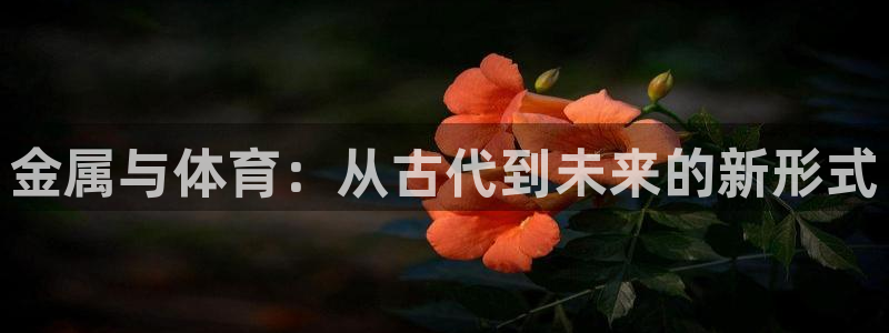 3377体育中国官方网站入口：金属与体育：从古代到未来的新形式