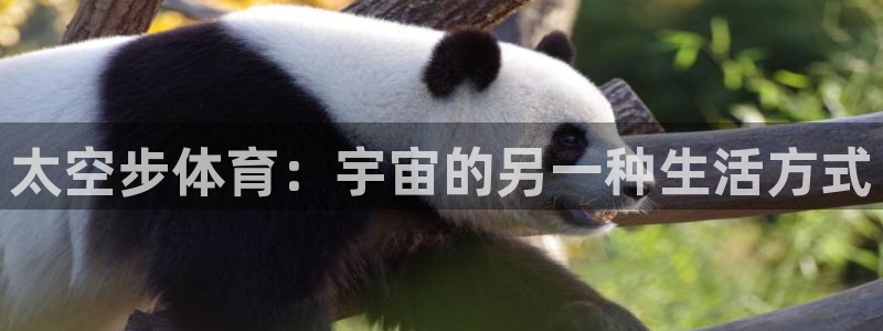 3377体育在线：太空步体育：宇宙的另一种生活方式