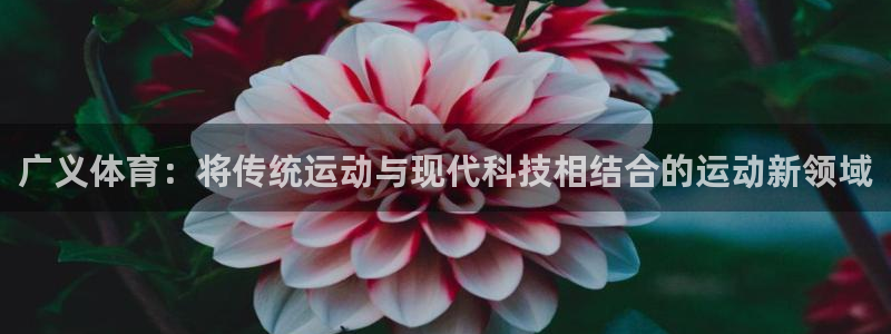 3377体育网页登录入口：广义体育：将传统运动与现代科技相结合的运动新领域