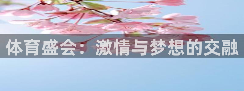 3377体育平台：体育盛会：激情与梦想的交融