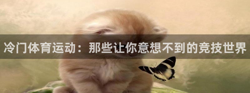 3377体育：冷门体育运动：那些让你意想不到的竞技世界