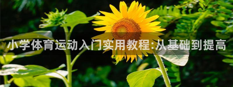 3377体育中国官方网站入口：小学体育运动入门实用教程:从基础到提高